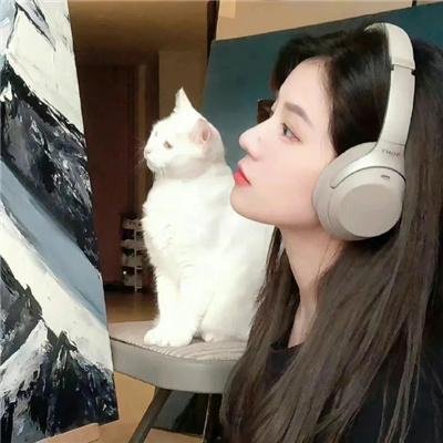 天罗地网
